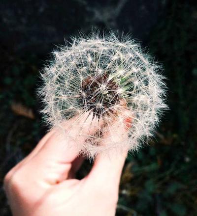 쇼핑몰 상품 광고 영상 완성 키트